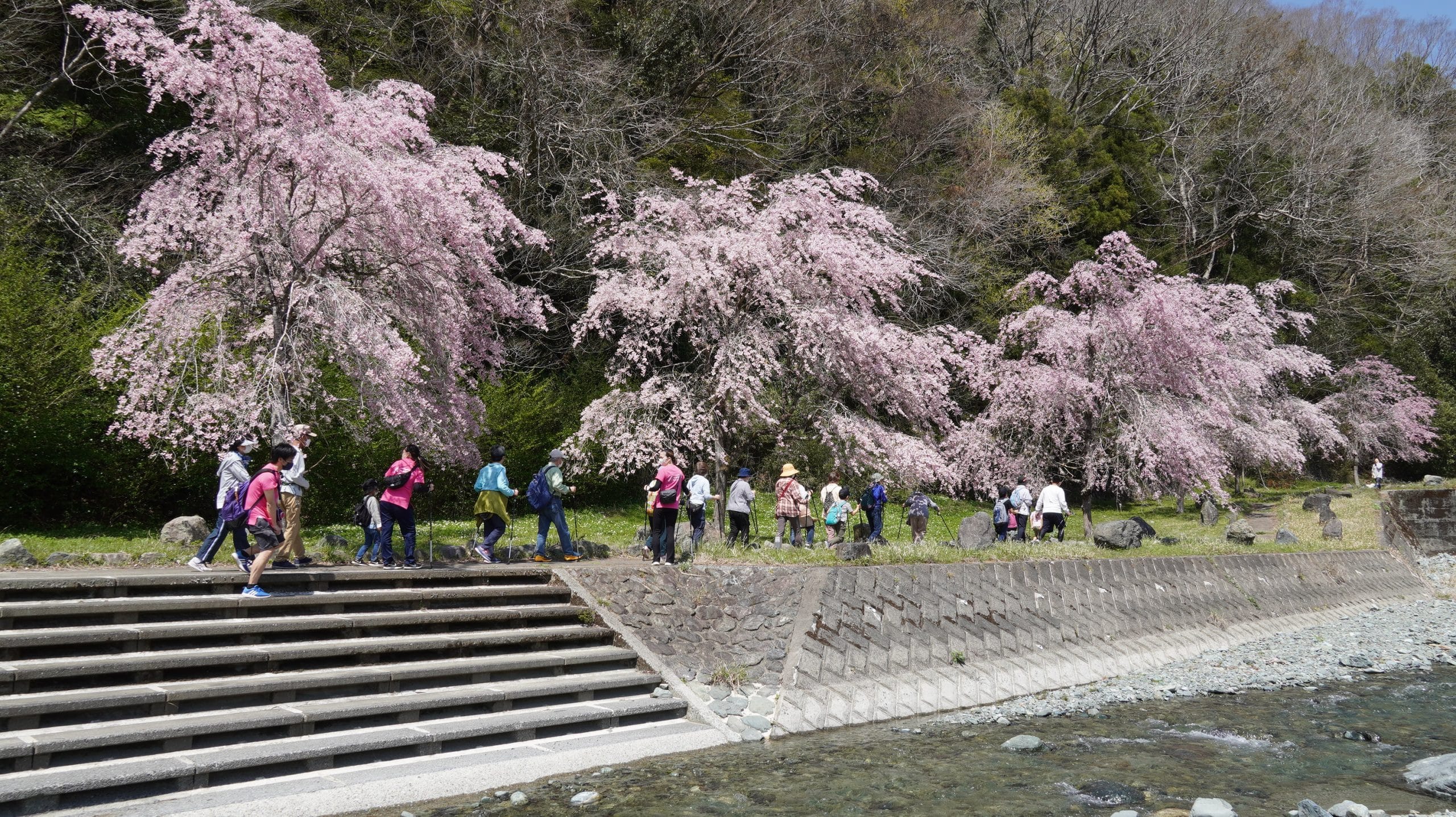 ノルディックウォーキングの様子 足柄リハビリテーションサービス