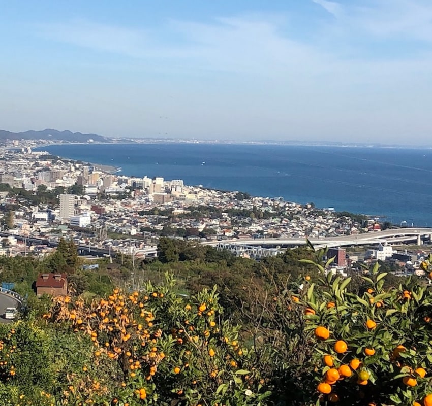 d86d6dfe32093b3a5428378e161bb9e6