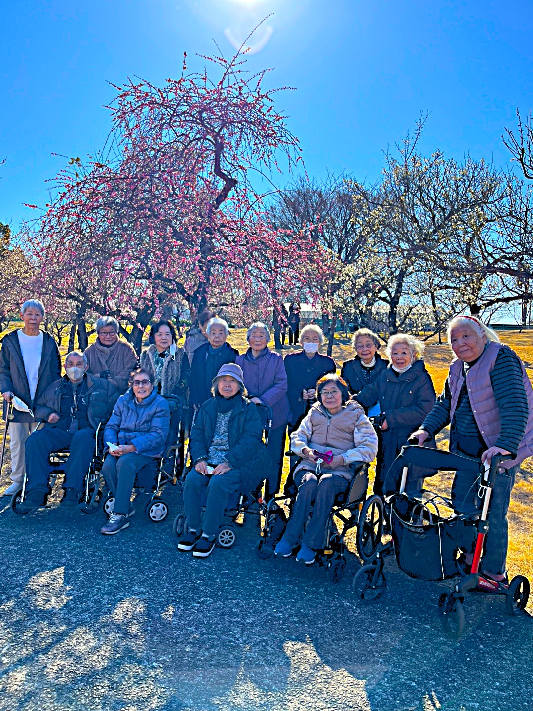 ふらっと 利用者様と梅の花